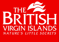 logo_bvi.gif